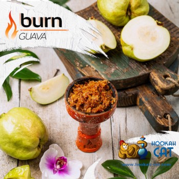 Заказать кальянный табак Burn Guava (Берн Гуава) 100г онлайн с доставкой всей России - фото 1 Заказать кальянный табак Burn Guava (Берн Гуава) 100г онлайн с доставкой всей России - фото 1